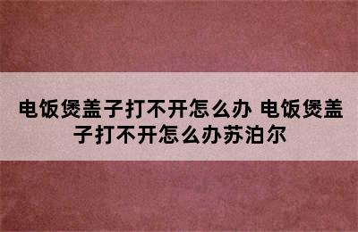 电饭煲盖子打不开怎么办 电饭煲盖子打不开怎么办苏泊尔